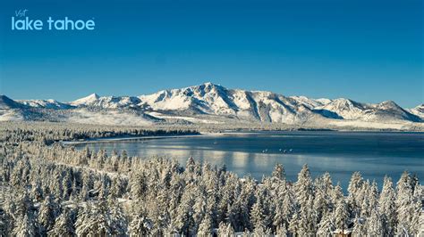 lake tahoe stl angeles city live|Live Lake Tahoe Webcams .